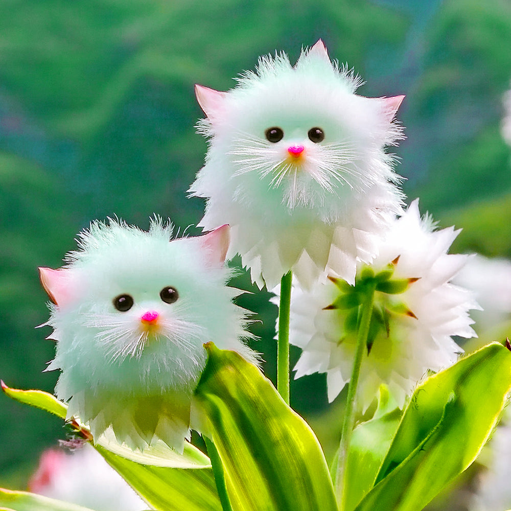 🐱🐻❄️🇺🇸Nekoryn® Charming Blossom Seeds🔥🔥
