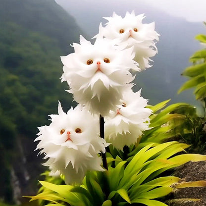 🐱🐻‍❄️🇺🇸Nekoryn® Charming Blossom Seeds🔥🔥