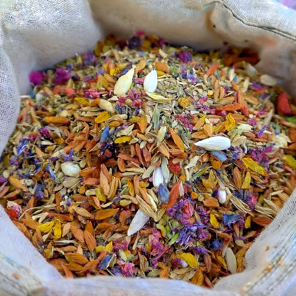 🐱🐻‍❄️🇺🇸Nekoryn® Charming Blossom Seeds🔥🔥