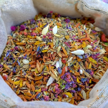 🐱🐻‍❄️🇺🇸Nekoryn® Charming Blossom Seeds🔥🔥