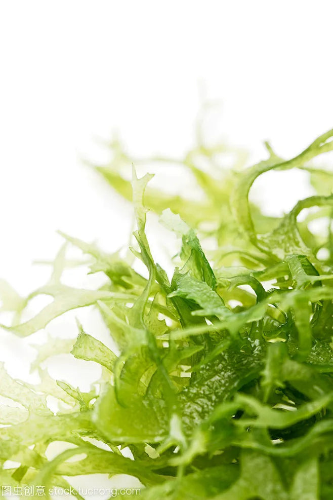 Perfection Primer Tightener – Smooth, Lift & Look Younger in Minutes image Perfection Primer Tightener – Smooth, Lift & Look Younger in Minutes